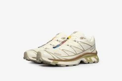 Salomon XT-6 Footwear