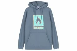 Hanon Crayon Shade Box Logo Hooded Sweatshirt Sweats & Hoods